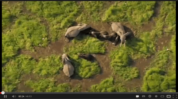 La Tierra vista desde el cielo