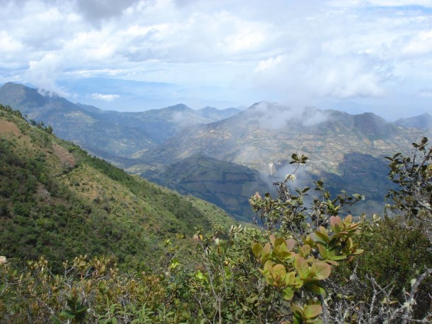 Hermoso suelo Piurano Hermoso suelo Piurano