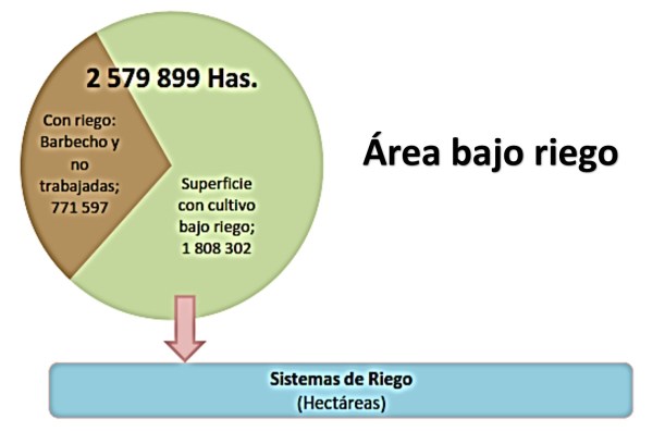 Fuente: Censo Nacional Agropecuario 2012