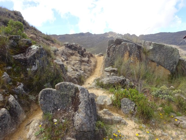 Caida Canal Huirucatac