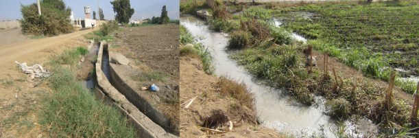 Coinjunto de chancherias vierten sus desagües sin tratar al canal de riego, agua que es usada para el riego de hortalizas, incluso fresas
