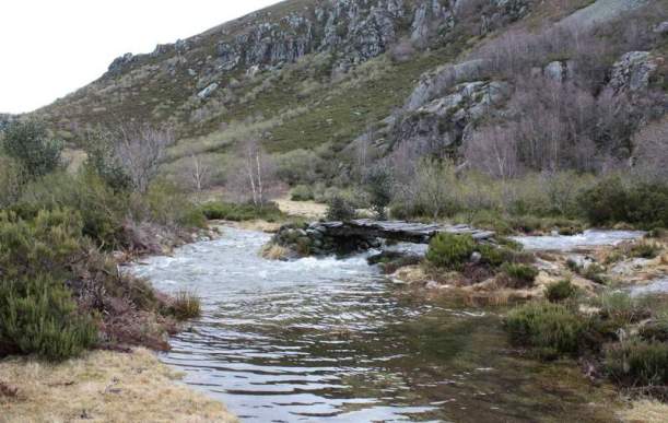 20100320_ancares_II_02_rio_piornedo[1]