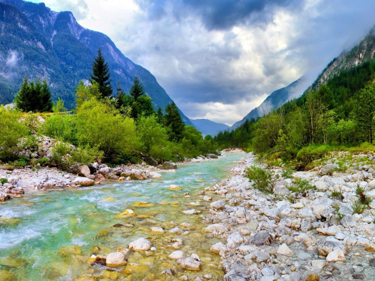 Feliz año nuevo andino&nbsp;2025