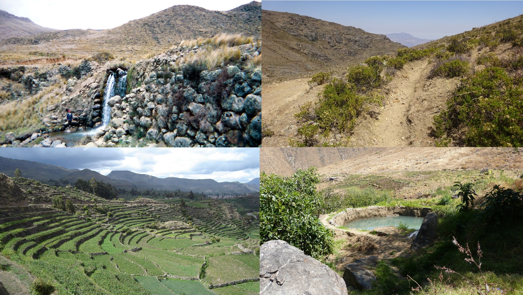 Enseñanza ancestral