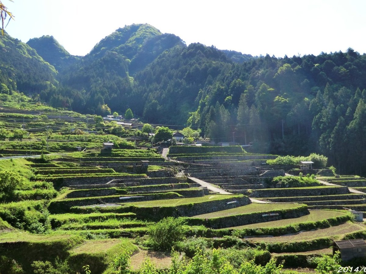 Comparación de la política de terrazas entre Perú y&nbsp;Japón